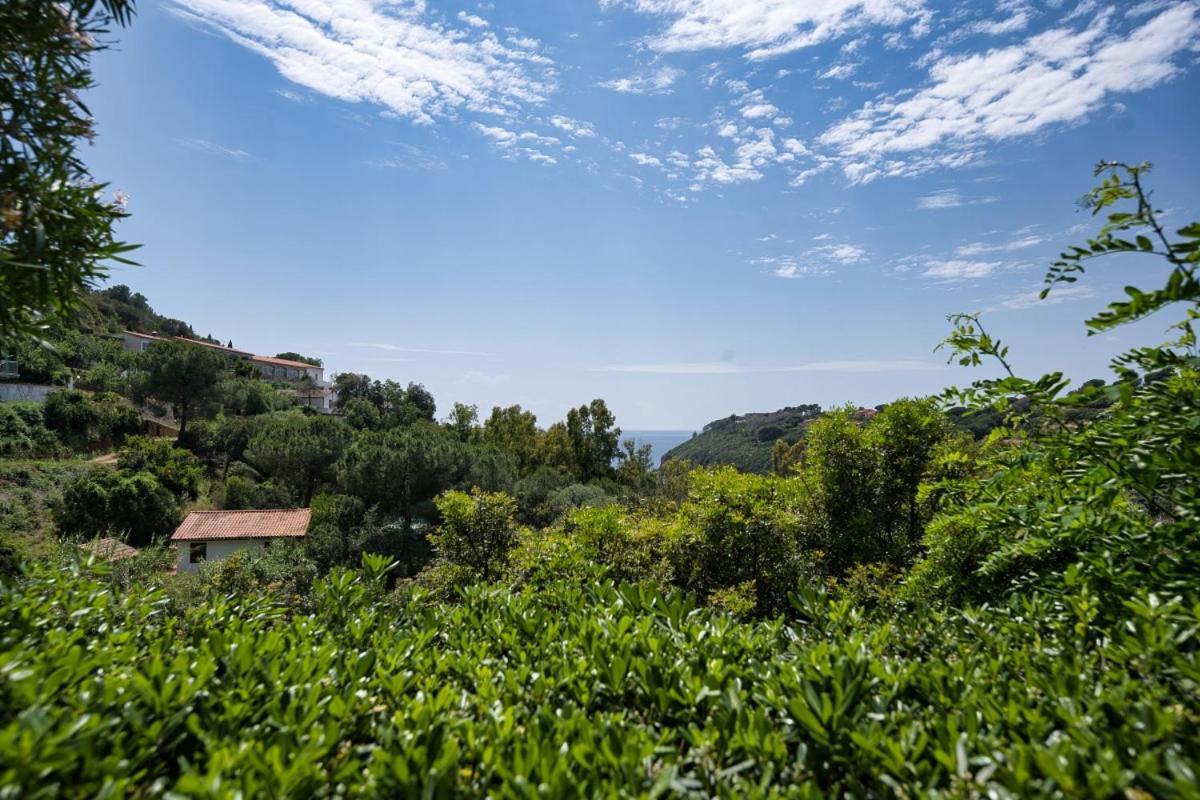 Alloggi Del Mirto A Morcone - Goelba Capoliveri  Luaran gambar